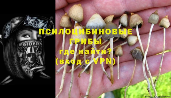 дмт Алзамай