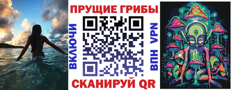 где продают наркотики  Берёзовский  Галлюциногенные грибы Cubensis 