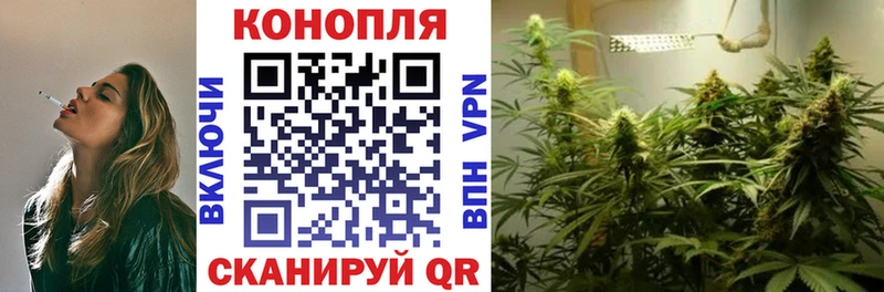 Бошки Шишки Amnesia где купить наркоту Берёзовский
